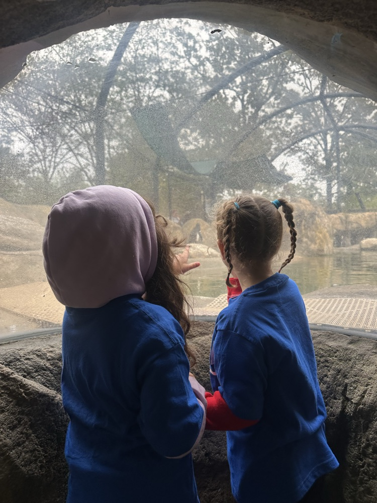 students at the zoo 