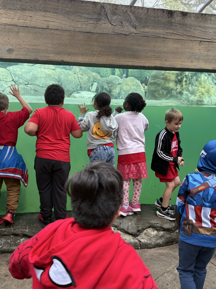 kids at the zoo