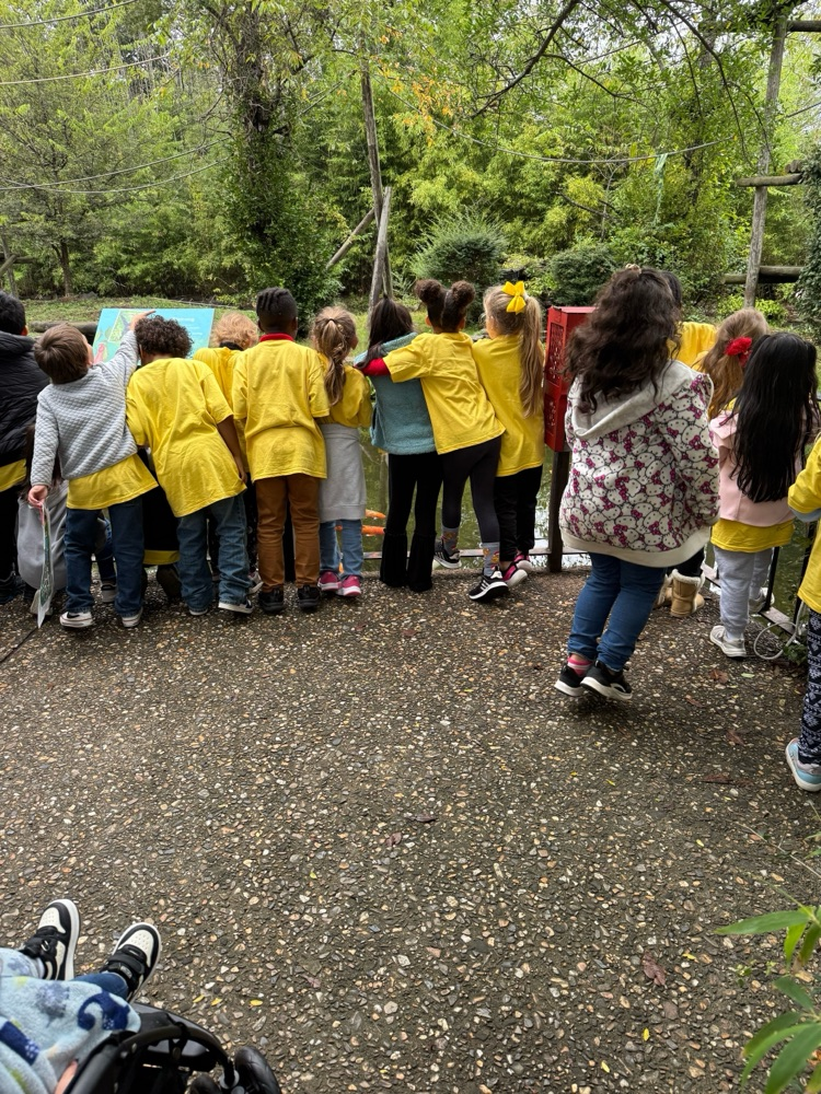 students at the zoo