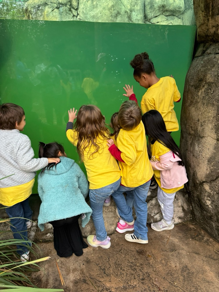 students at the zoo