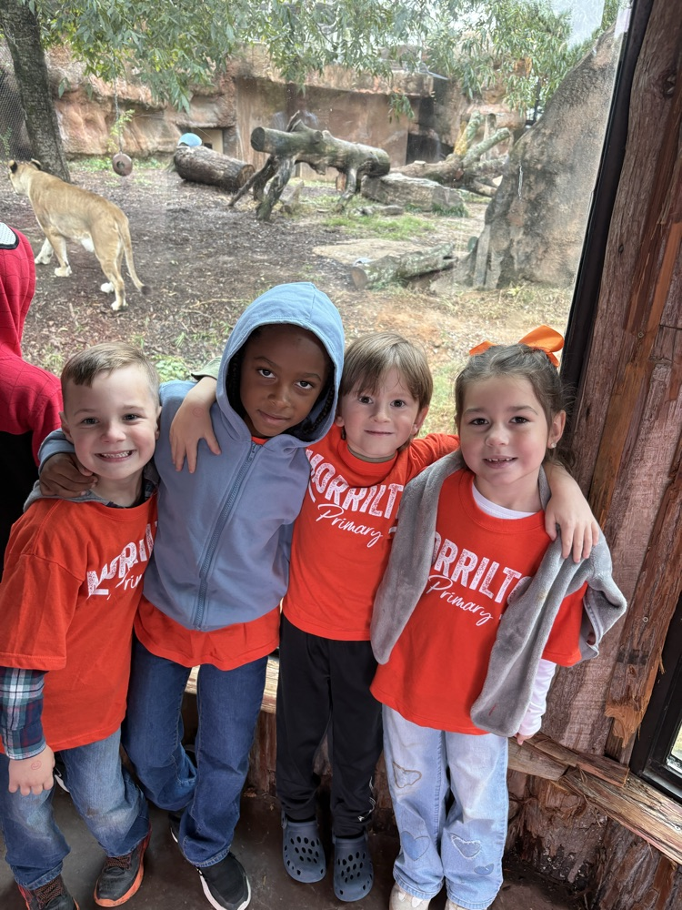 kids at the zoo