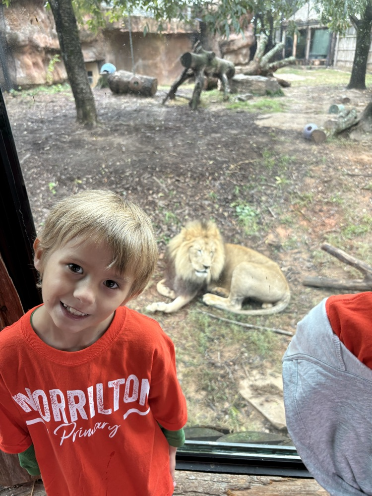 kids at the zoo