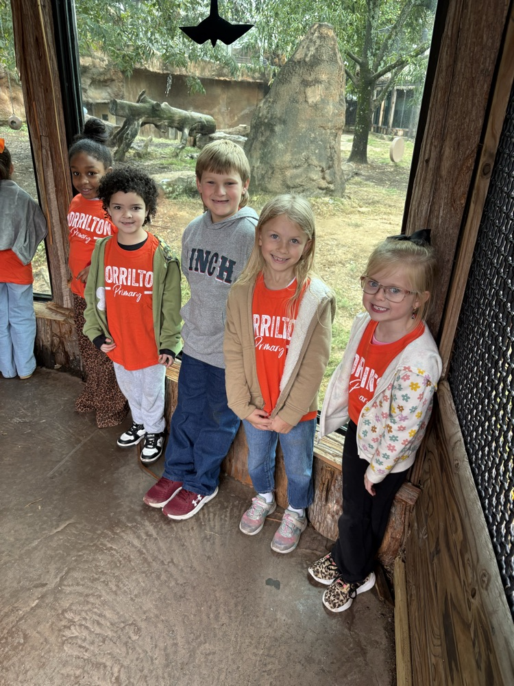 kids at the zoo