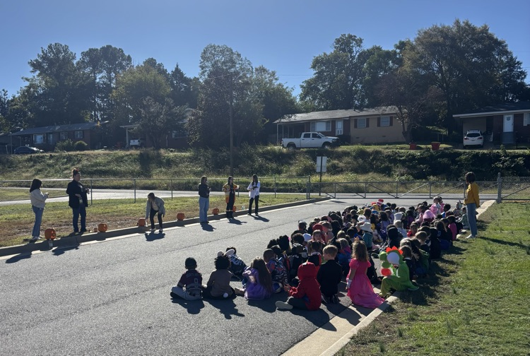 students watching experiment
