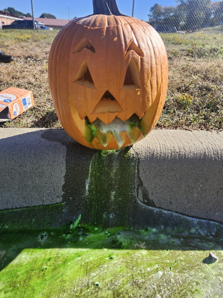 pumpkin science 