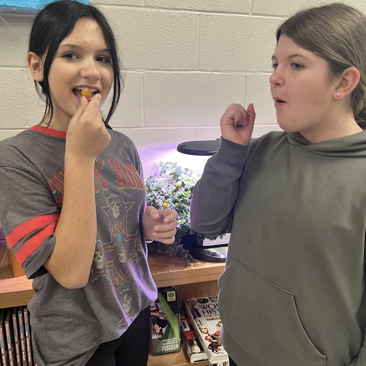 girls eating some cherry tomatoes