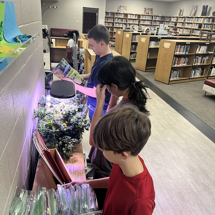 students organizing garden resources