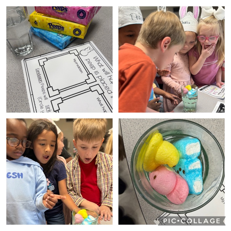 Learning & celebrating at school is FUN!