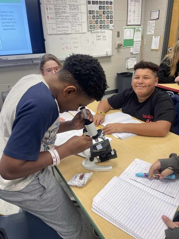 6 Sci 
