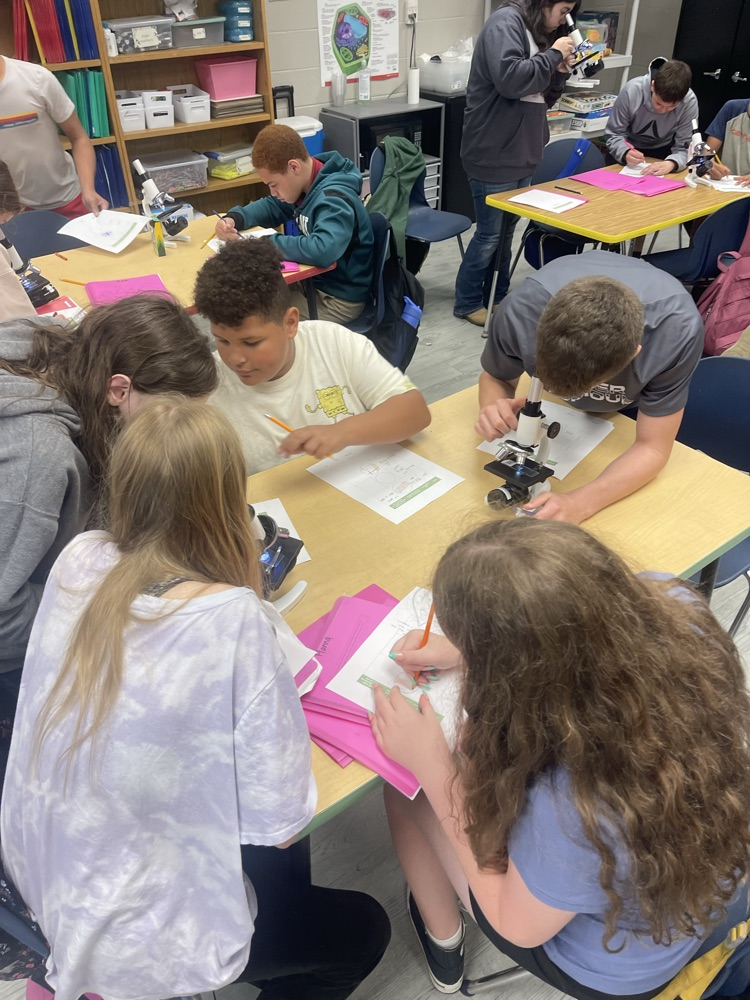 6th Sci