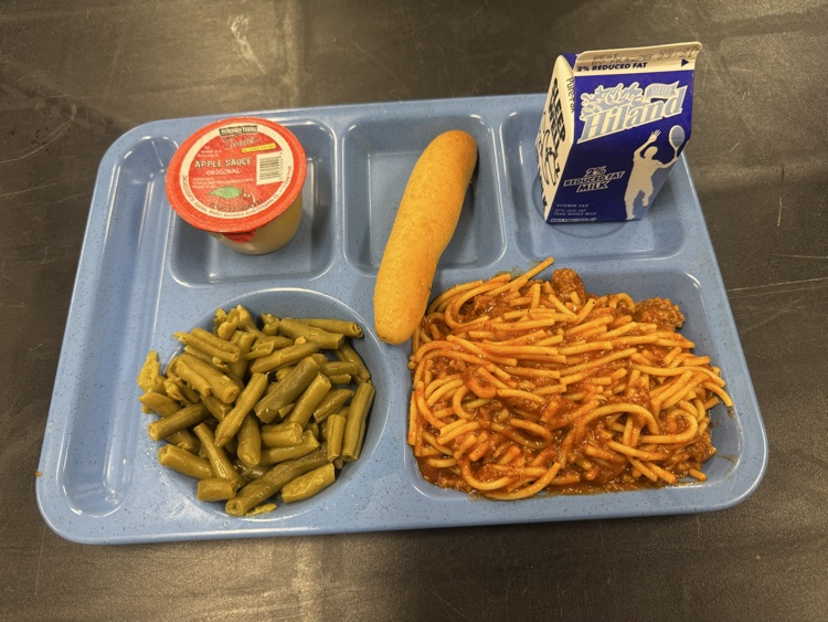 student lunch tray