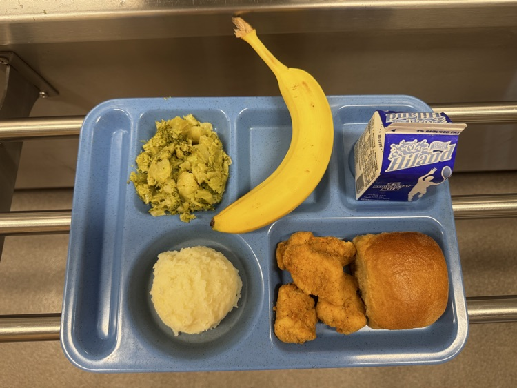 MPS lunch tray