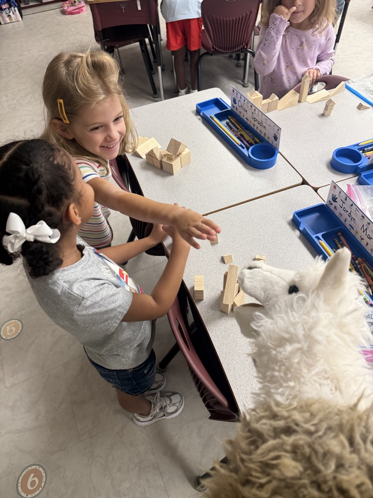 Mrs. A Dixon’s class at work