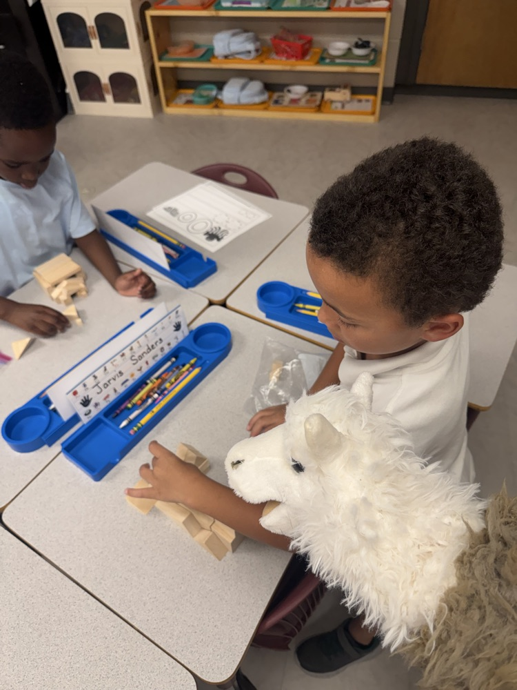 Mrs. A Dixon’s class at work