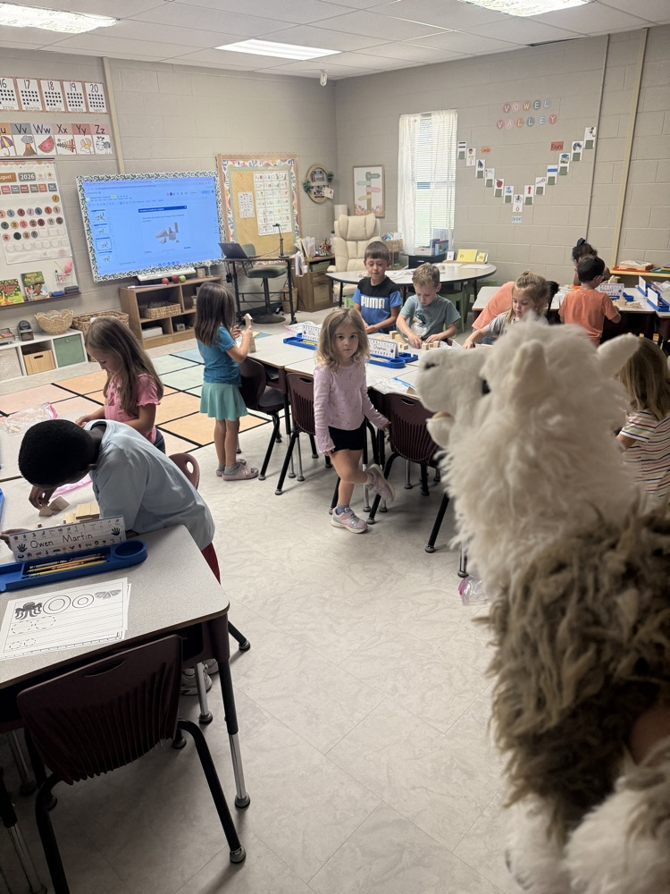 Mrs. A Dixon’s class at work