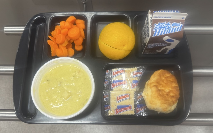 lunch tray