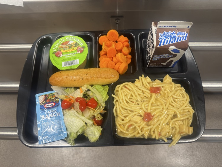 MPS Lunch tray