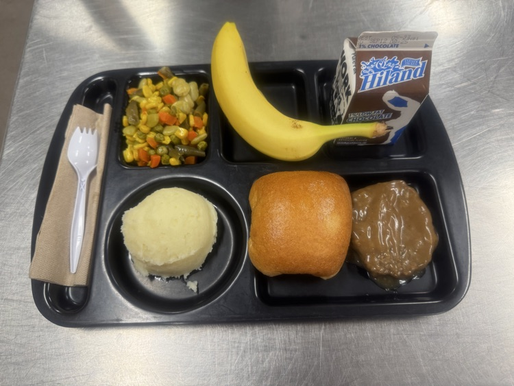 MPS lunch tray