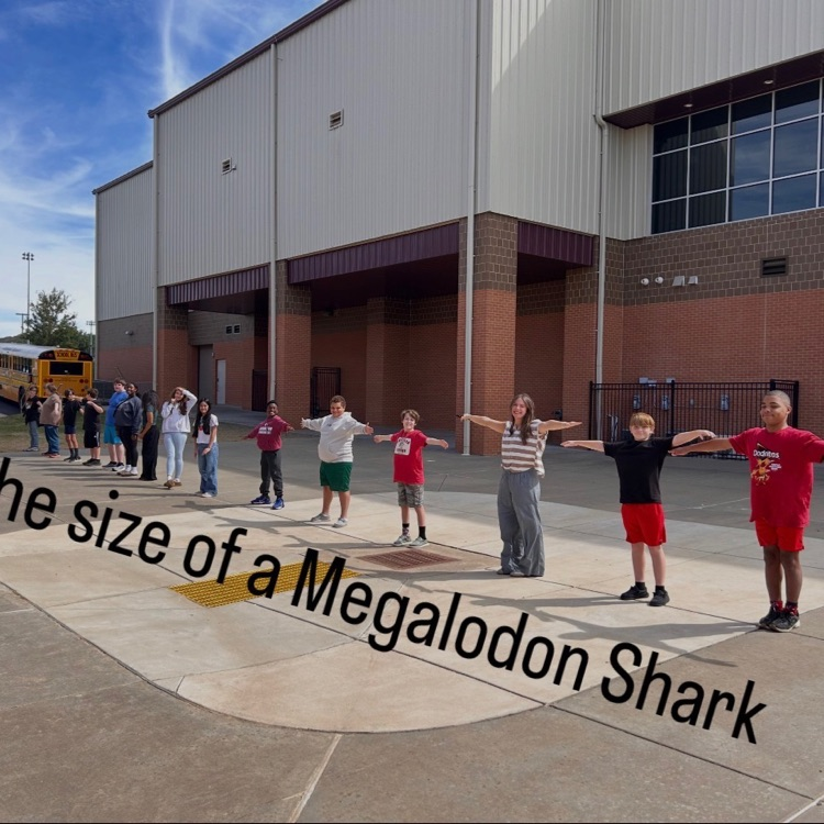 megalodon 
