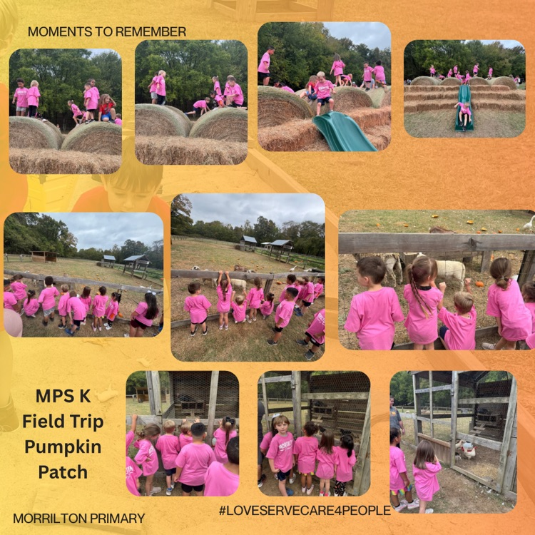 kindergarten students 