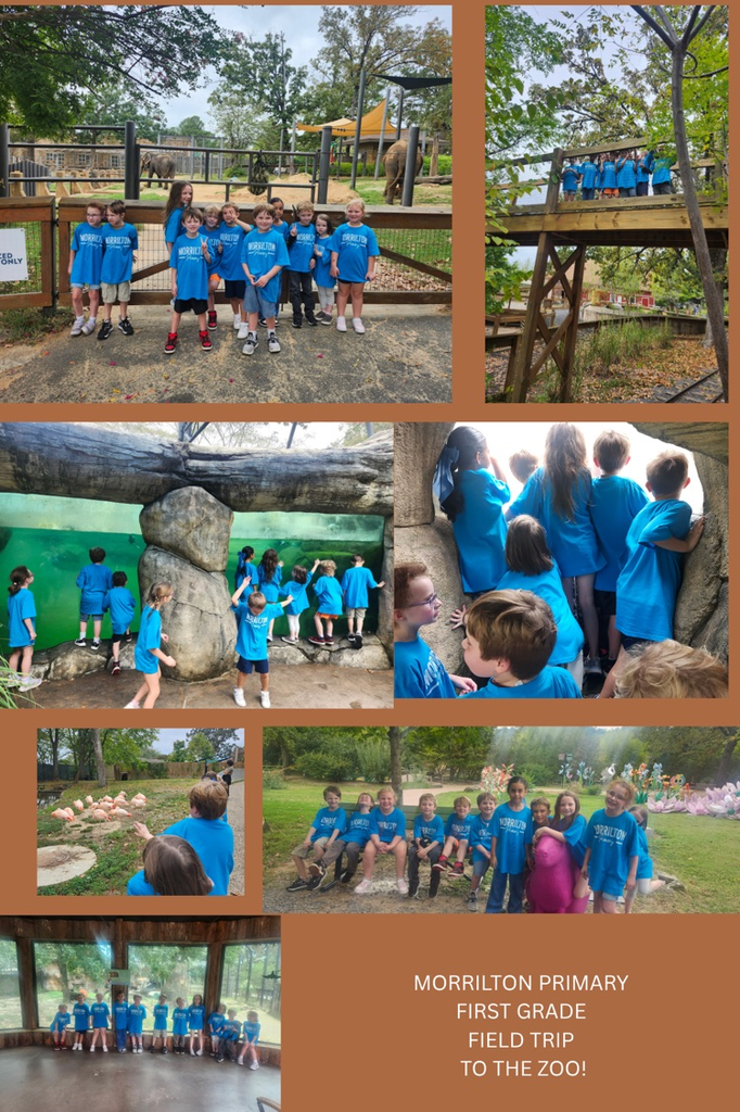 students at the zoo