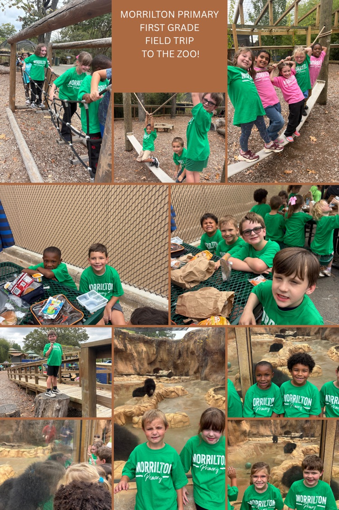 students at the zoo