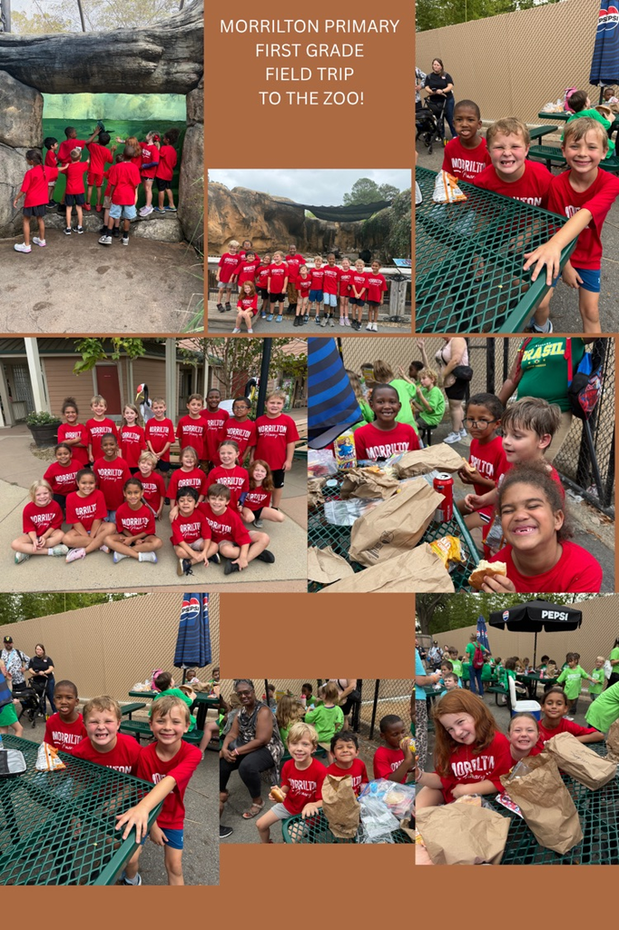 students at the zoo