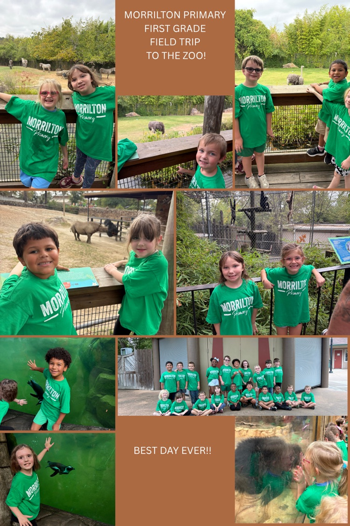 students at the zoo