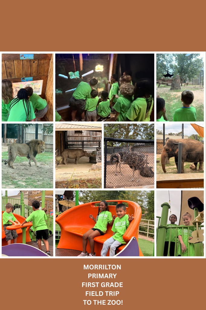 students at the zoo