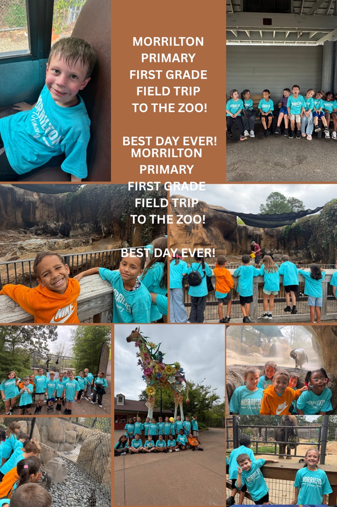 students at the zoo