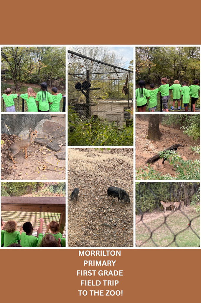 students at the zoo