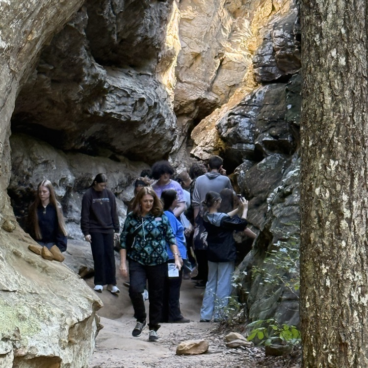 Group of people walking on a rocky path between trees and rocks, with sunlight and shadows.
