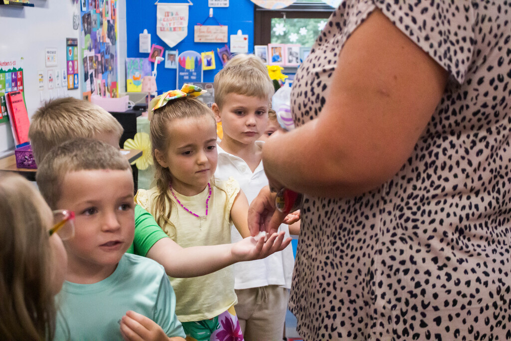 Mrs. Pruss and Mrs. Kleindienst's classes at Dillsboro Elementary School practice silent marshmallow walking.