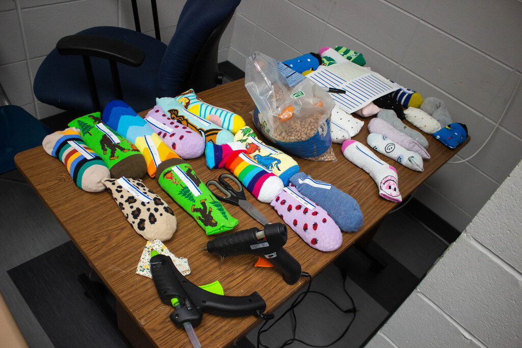 Inspired from reading,  "The Barnabus Project," second-grade AES students created their own unique sock puppet creatures.