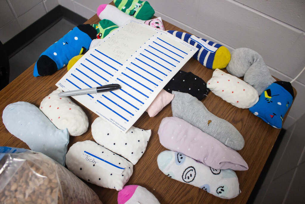 Inspired from reading,  "The Barnabus Project," second-grade AES students created their own unique sock puppet creatures.
