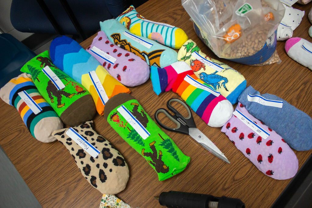 Inspired from reading,  "The Barnabus Project," second-grade AES students created their own unique sock puppet creatures.