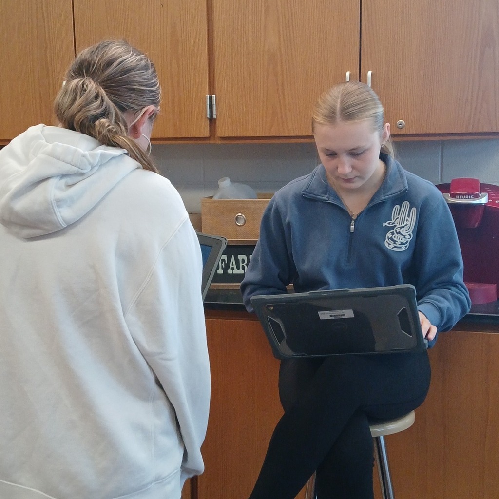 Two South Dearborn High School Animal Science students reviewing information together on a laptop during class