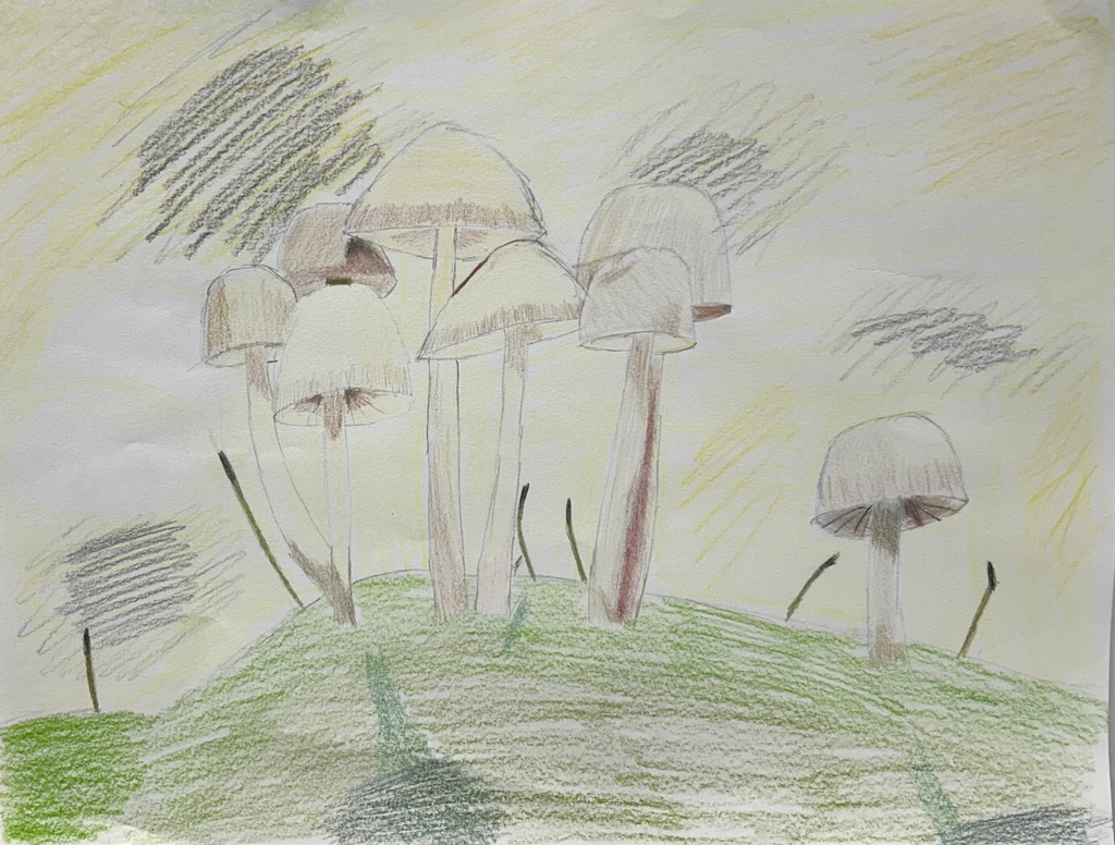 Colored pencil drawing of a cluster of tall mushrooms on a green mossy mound, from a macro photography art lesson at South Dearborn High School.