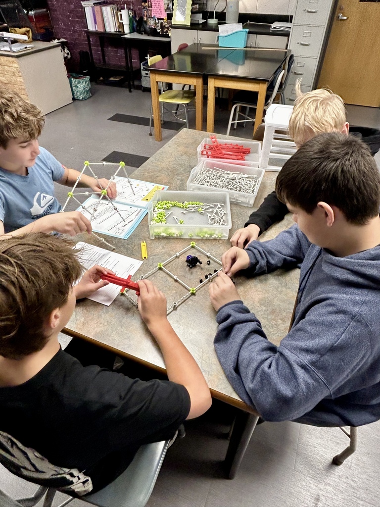 SDMS students studying physical forces through 3 labs.