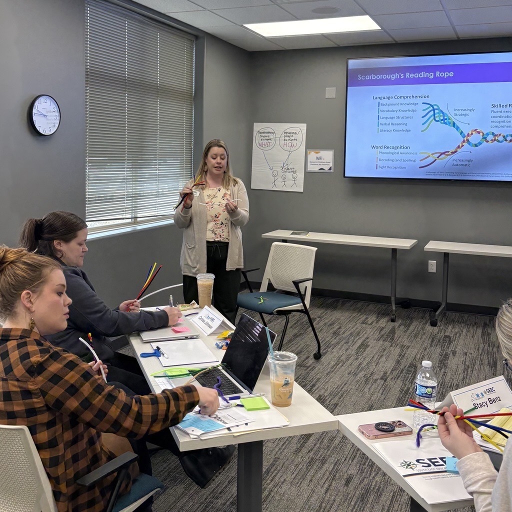 trainer explaining scarborough reading rope with participants building their own using colored pipe cleaners