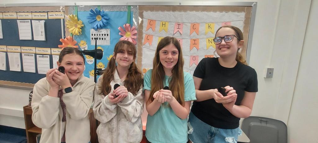 Four SEMS students each holding a two week old chick.
