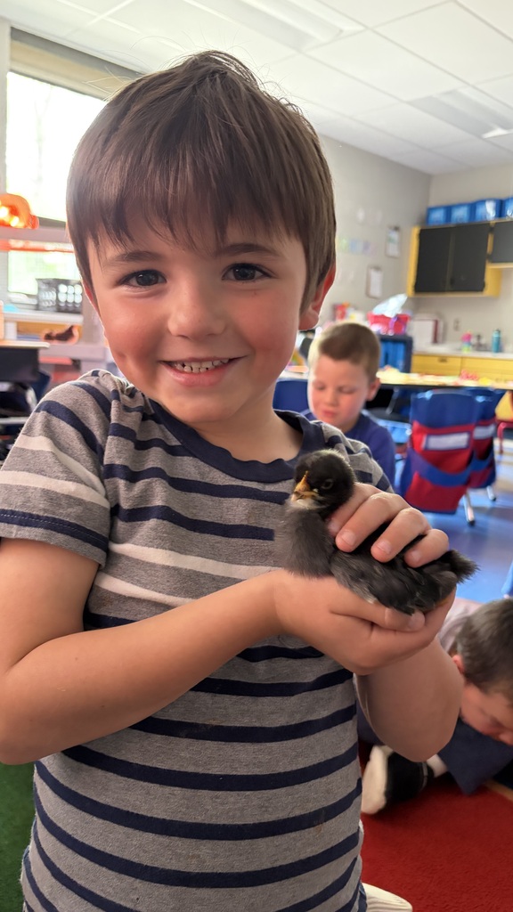 Student holding a baby chick.