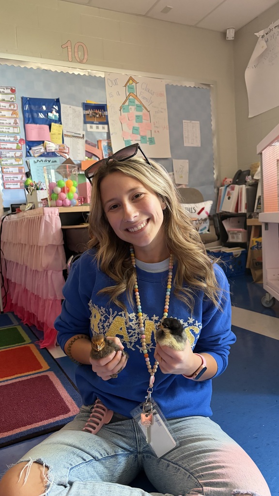 Teacher holding two baby chicks.