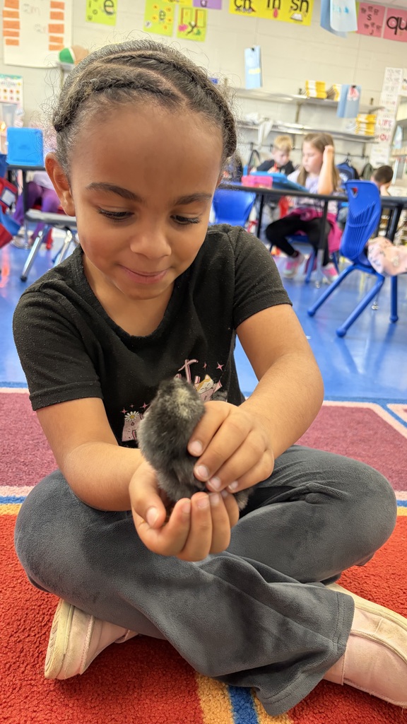 Student sitting on a carpet holding a baby chick.