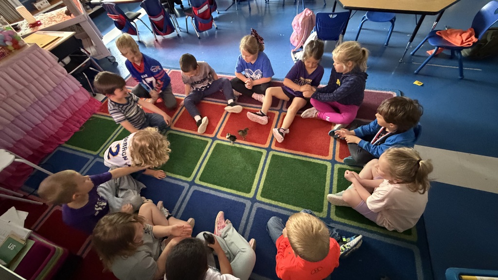 Kindergarten students sitting in a circle on a carpet with two baby chicks in the middle.