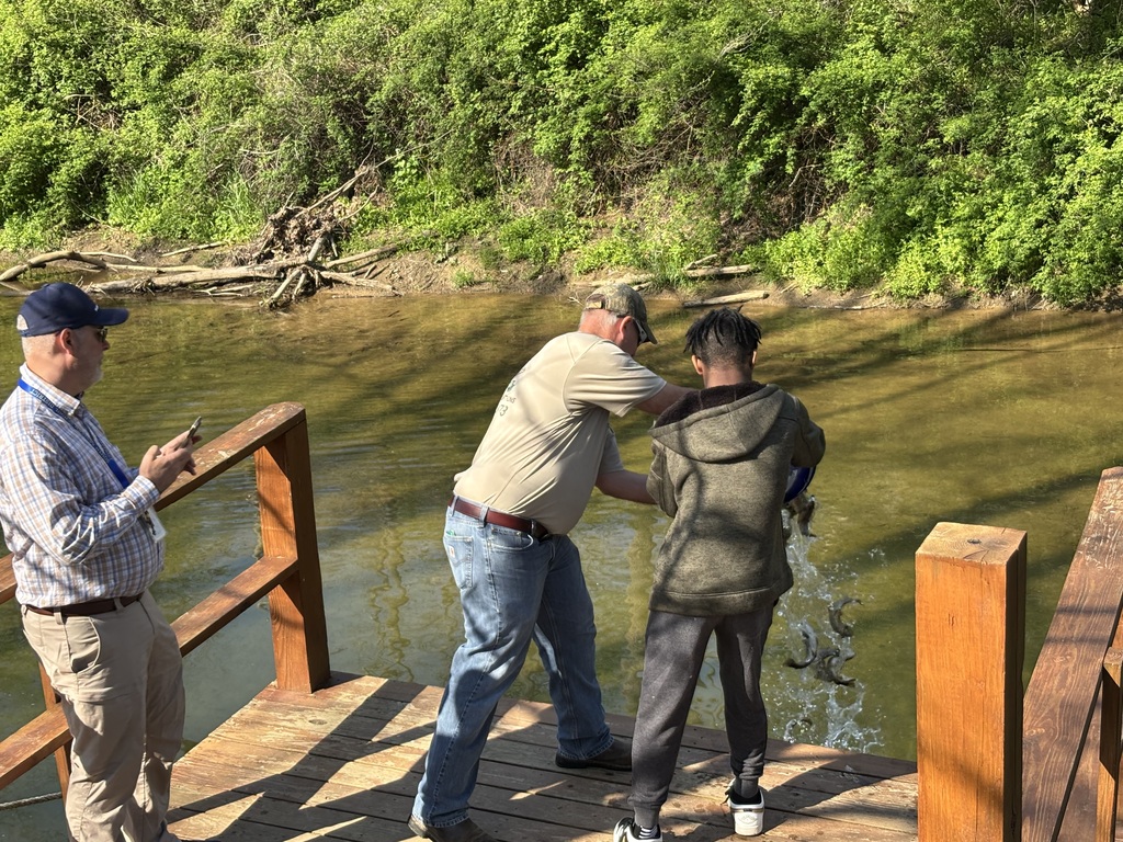 Student receiving assistance stocking trout in Muddy Creek.