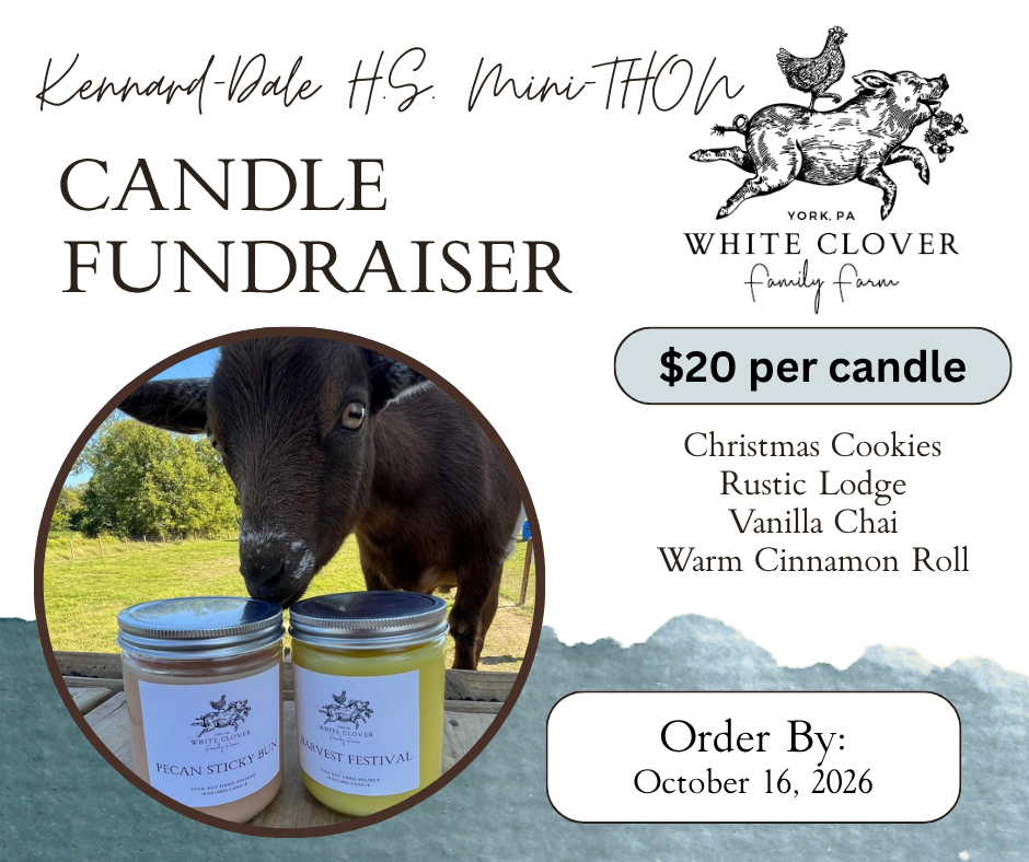 Flyer with a picture of a cow and candles advertising a candle sale to support KDHS Mini Thon. Details are in the post.