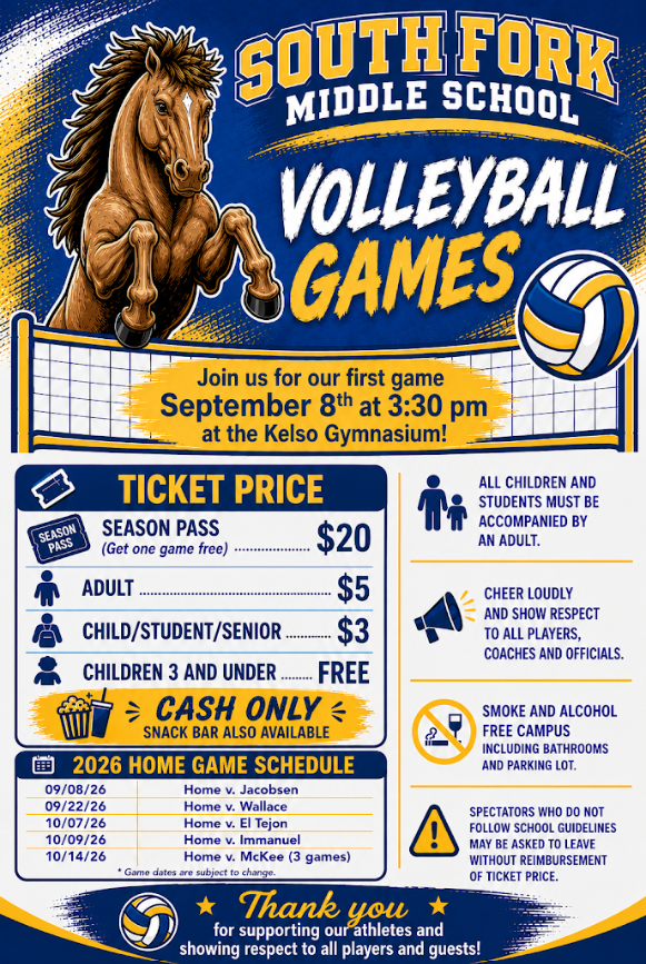 Volleyball games