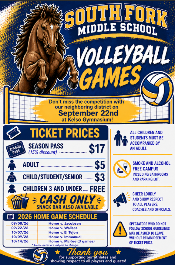 Volleyball games
