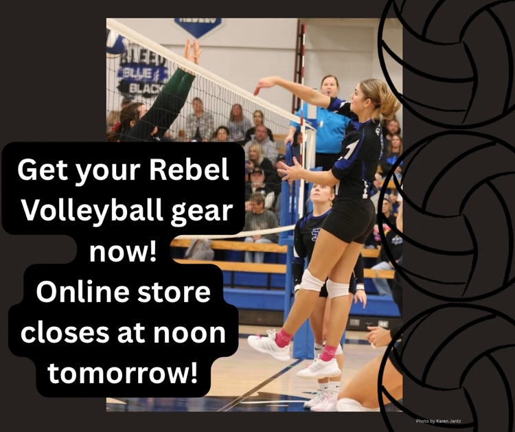 Vball Shirt Sales